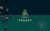 Senses – Coffee咖啡品牌设计&包装